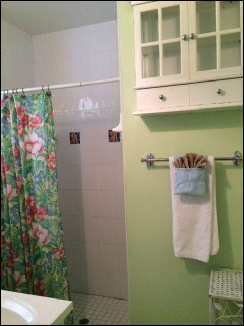 Partial view of white sink and shower, tropical curtain, light green walls, small cabinet, towel bar