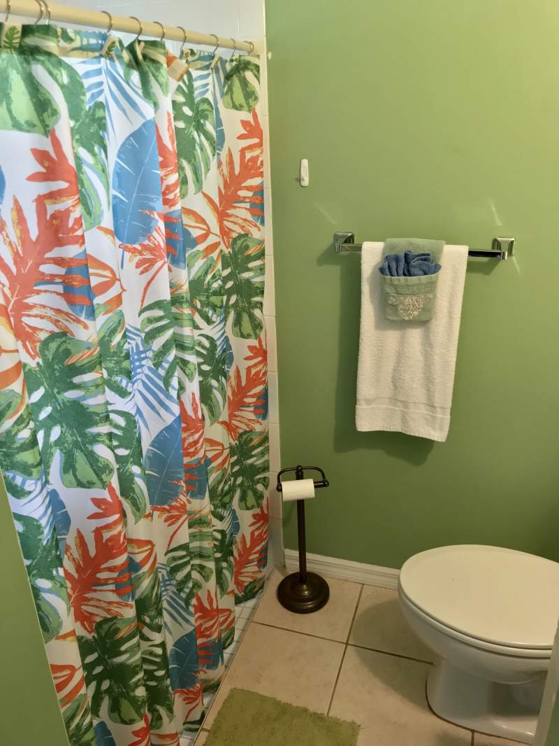 Bathroom, shower with tropical shower curtain, toilet
